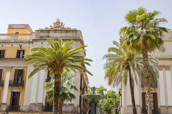 Plaza Real de Barcelona Barselona 'da Üç Zarafet (İspanya) çeşmesi ile seyahat konsepti.