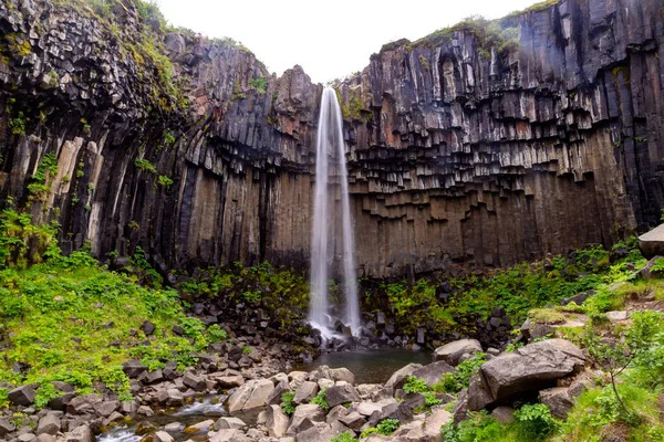 Una Toma Ángulo Bajo Una Hermosa Cascada Que Fluye Bosque —  Fotos de Stock