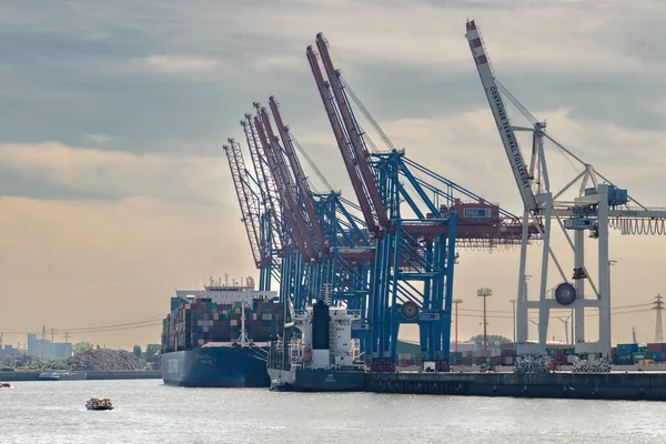 Konteynır gemileri ve vinçleri olan liman.