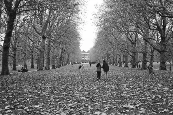 Ein Schönes Paar Fuß Hyde Park London England — Stockfoto