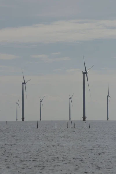 Windturbines Ijsselmeer Urk Flevoland Netherlands — Stock Photo, Image
