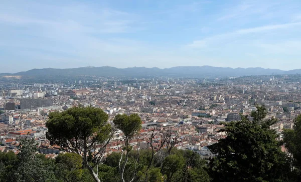 Beautiful Cityscape Marseille Daylight Green Vegetation Foreground France — Stock Photo, Image