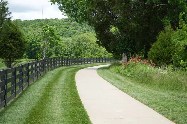 Çitin üzerinden yürü