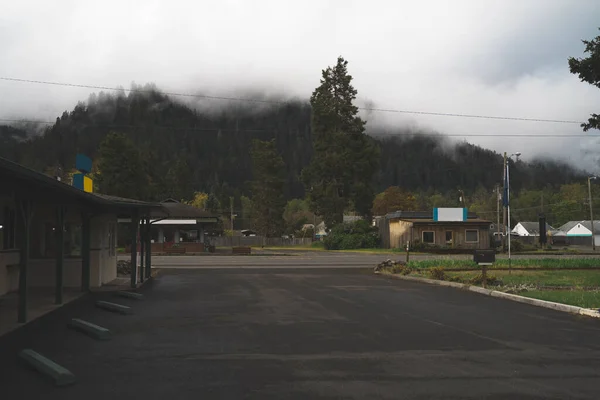 俄勒冈州一个多雾的小镇上 绿树下的房子和一条空荡荡的沥青路面风景 — 图库照片