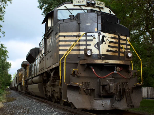 Frente Trem Estacionado Longo Linha Árvore — Fotografia de Stock