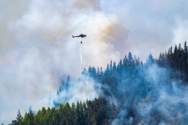 Yangın söndürme helikopteri orman yangınını söndürüyor.