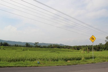 Güzel bir yol manzarası ve bulutlu gökyüzünün altında pirinç tarlaları.