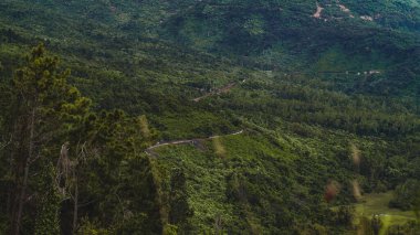 Çalılık ormanların arasında bir dağ yolu