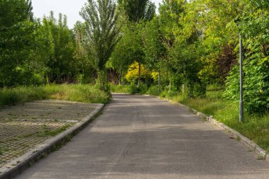 Yeşil ağaçlı güzel bir park manzarası ve yürüyüş ve gezinti için bir yol.