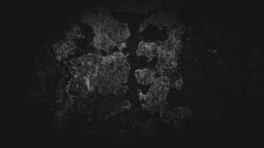 Bir kayanın ya da betonun engebeli yüzeyine yakın çekim