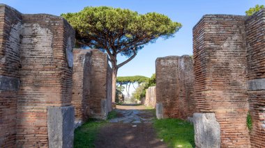 Ostia Antica, antik Roma liman şehrinin bulunduğu modern Ostia kasabasına yakın büyük bir arkeoloji alanıdır..