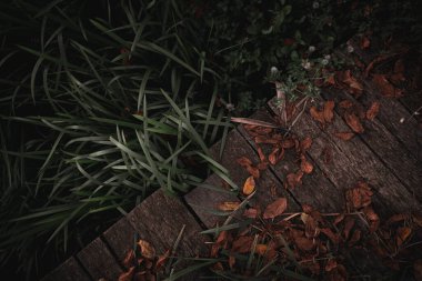 Tahta bir geçitteki sonbahar yapraklarının en üst görüntüsü.