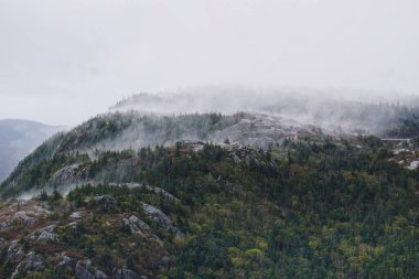 Sisli bir günde dağlardaki sık ormanların havadan görünüşü