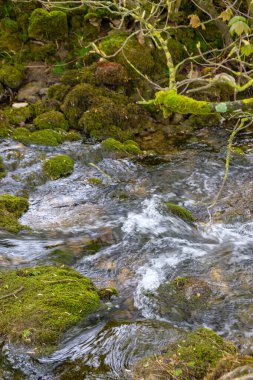 Yosun kaplı kayalık nehrin güzel bir görüntüsü.