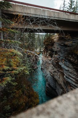 Kanada Jasper Ulusal Parkı 'ndaki Athabasca Şelalesi Kanyonu' nun dikey görüntüsü.