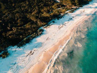 Zümrüt denizin kuş bakışı manzarası. Sahilde yeşil ağaçların arkasında beyaz kum var.