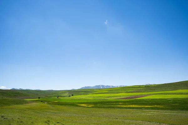 Een Landelijk Landschap Met Een Grote Groene Weide Een Zonnige — Stockfoto