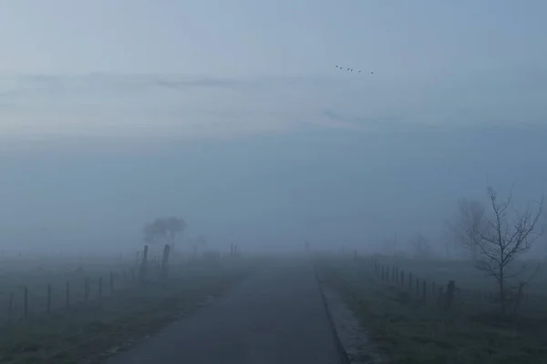 Горизонтальное Фото Туманного Пейзажа Рано Утром — стоковое фото