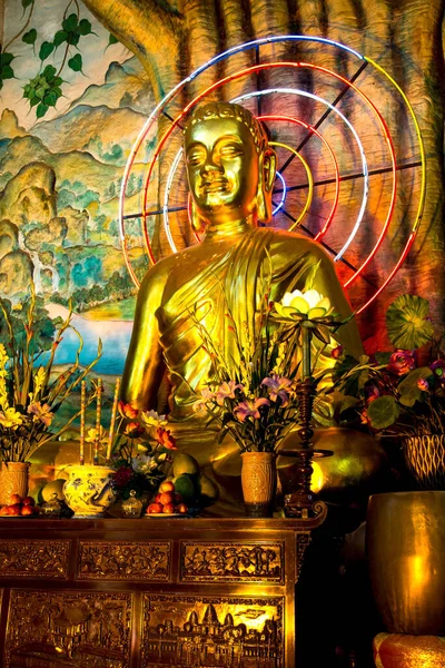 Golden Buddha Statue Neon Circles Pagoda Vietnam — Stock Photo, Image