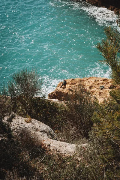 Uma Imagem Vertical Das Ondas Mar Partir Rochas Atrás Arbustos — Fotografia de Stock