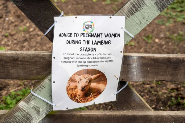 Ein Schild Einem Bauernhof Während Der Lammzeit Warnt Vor Kontakt — Stockfoto