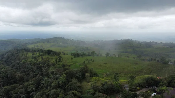 Vista Floresta Verde Contra Céu Nublado — Fotografia de Stock