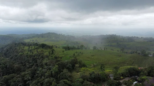 Vista Della Foresta Verde Contro Cielo Nuvoloso — Foto Stock