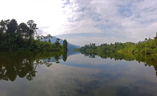 Красивый Вид Спокойное Озеро Окружении Деревьев Облачным Небом — стоковое фото
