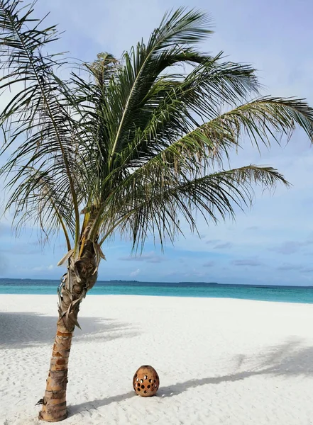 Kudafushi Maldivler Güzel Bir Sahilin Dikey Çekimi — Stok fotoğraf