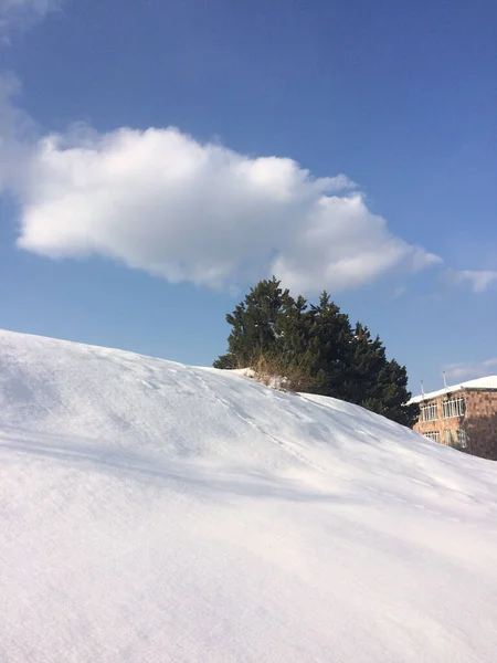 Μια Κάθετη Λήψη Χιονοστιβάδας Κατά Διάρκεια Της Ημέρας — Φωτογραφία Αρχείου