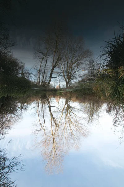 Pionowe Ujęcie Zimowych Drzew Odbijających Się Rzece Londynie Wielka Brytania — Zdjęcie stockowe