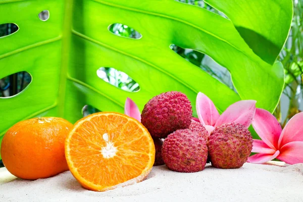 Los Frutos Con Plumeria Rosa Florecen Arena Contra Hoja Verde — Foto de Stock