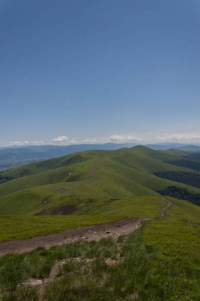 Pionowe Ujęcie Zielonego Pasma Górskiego Karpat Pod Bezchmurnym Błękitnym Niebem — Zdjęcie stockowe