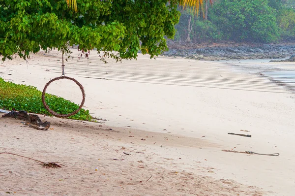 Koh Lanta Tayland Bir Sahilde Ağaçta Asılı Bir Daire Salıncak — Stok fotoğraf