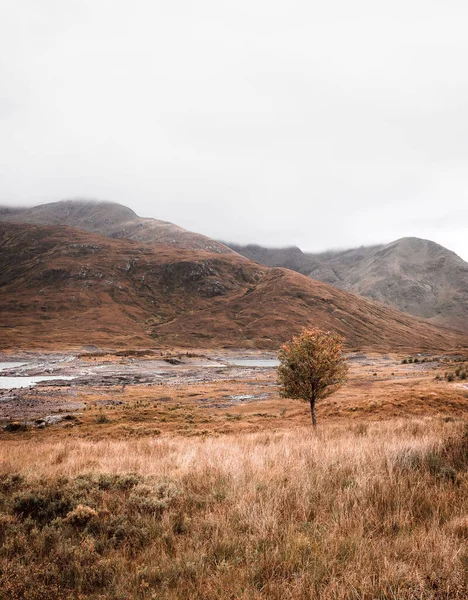 Vertical Shot Landscape Dried Grass Gloomy Day Isle Skye Scotland — Stock Photo, Image