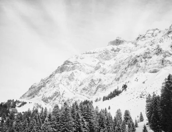 Uma Foto Tons Cinza Dos Alpes Suíços Nevados — Fotografia de Stock