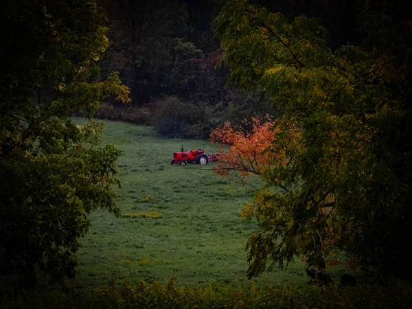 木々に囲まれた緑の芝生の中で赤いトラクターの美しいショット — ストック写真