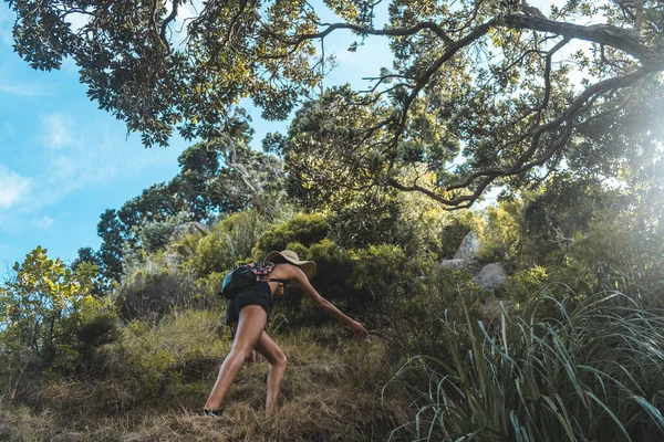 Ein Weibchen Mit Rucksack Klettert Wald Neuseeland — Stockfoto