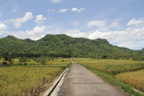 緑の丘に対して空の道路と美しい夏の風景 インドネシアのクーロン プロゴ県 — ストック写真