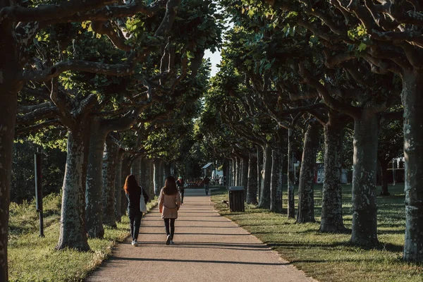 Närbild Unga Kvinnor Som Går Nära Trädgården Eltville Tyskland — Stockfoto