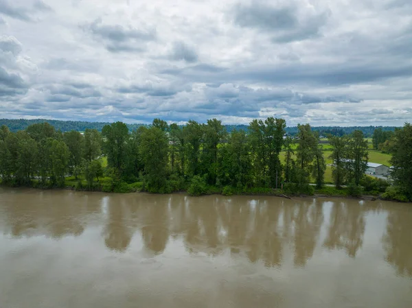 川とその周囲の木々の高い角度のショット — ストック写真