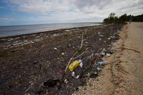 Ocak 2021 'de Meksika' da Karayip Denizi, Quintana Roo, Mahahual 'da bir plajın çevresel kirliliği