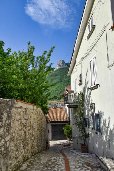 Une Rue Étroite Entre Les Vieilles Maisons Petina Village Dans — Photo