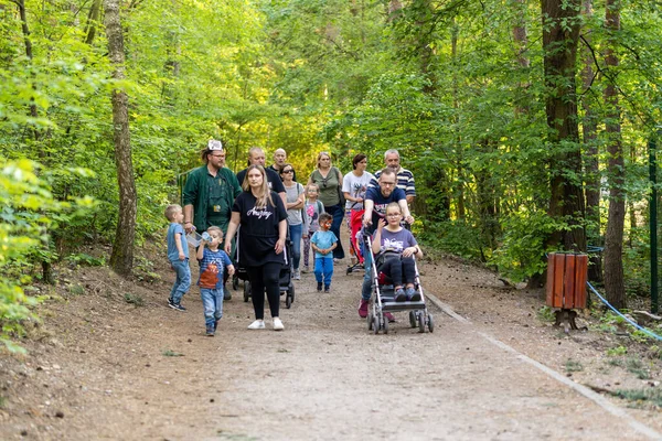 Gruppo Persone Cammina Sentiero Sterrato Circondato Alberi Allo Zoo — Foto Stock