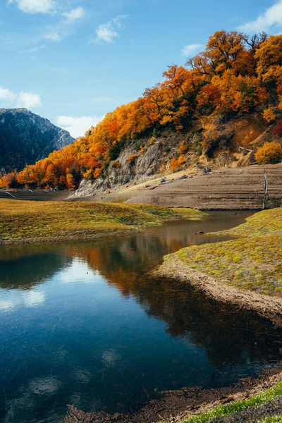 Eine Vertikale Aufnahme Der Herbstfarben Rund Die Laguna Verde Conguillio — Stockfoto