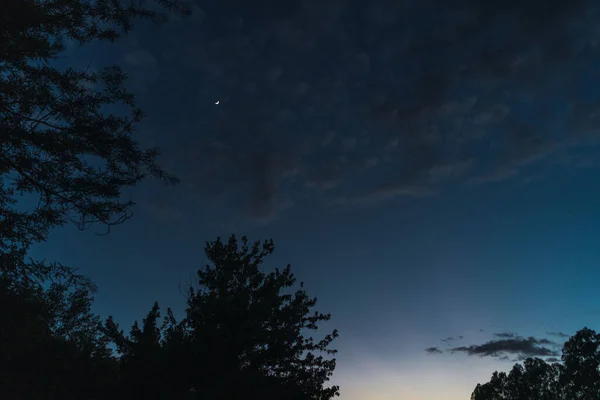 Μια Χαμηλή Γωνία Ενός Έναστρου Μπλε Νυχτερινού Ουρανού Πάνω Από — Φωτογραφία Αρχείου