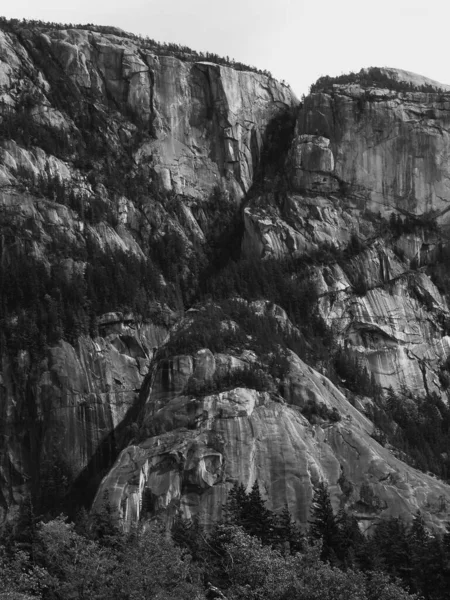 Vertical Grayscale Shot Some Cliffs Daytime — Stock Photo, Image