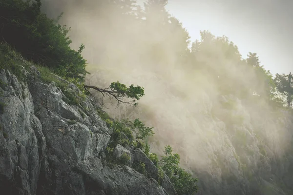 Вид Повітря Скелясті Гори Оточені Деревами Туманний День — стокове фото