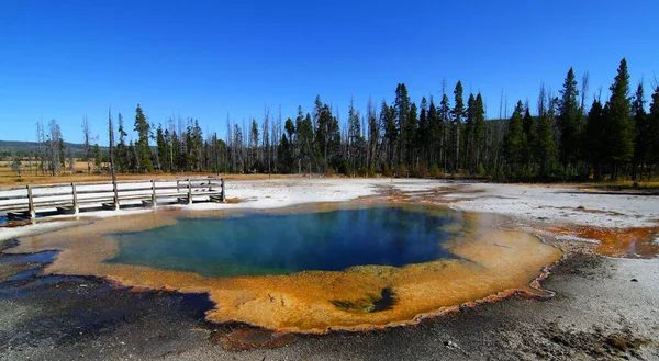 Geyser 'ın Yellowstone Ulusal Parkı, Wyoming, ABD' deki yakın çekimi.