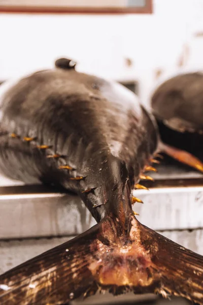 Yerel balık pazarında buzlu ton balığı kuyruğunun yakın plan resmi.